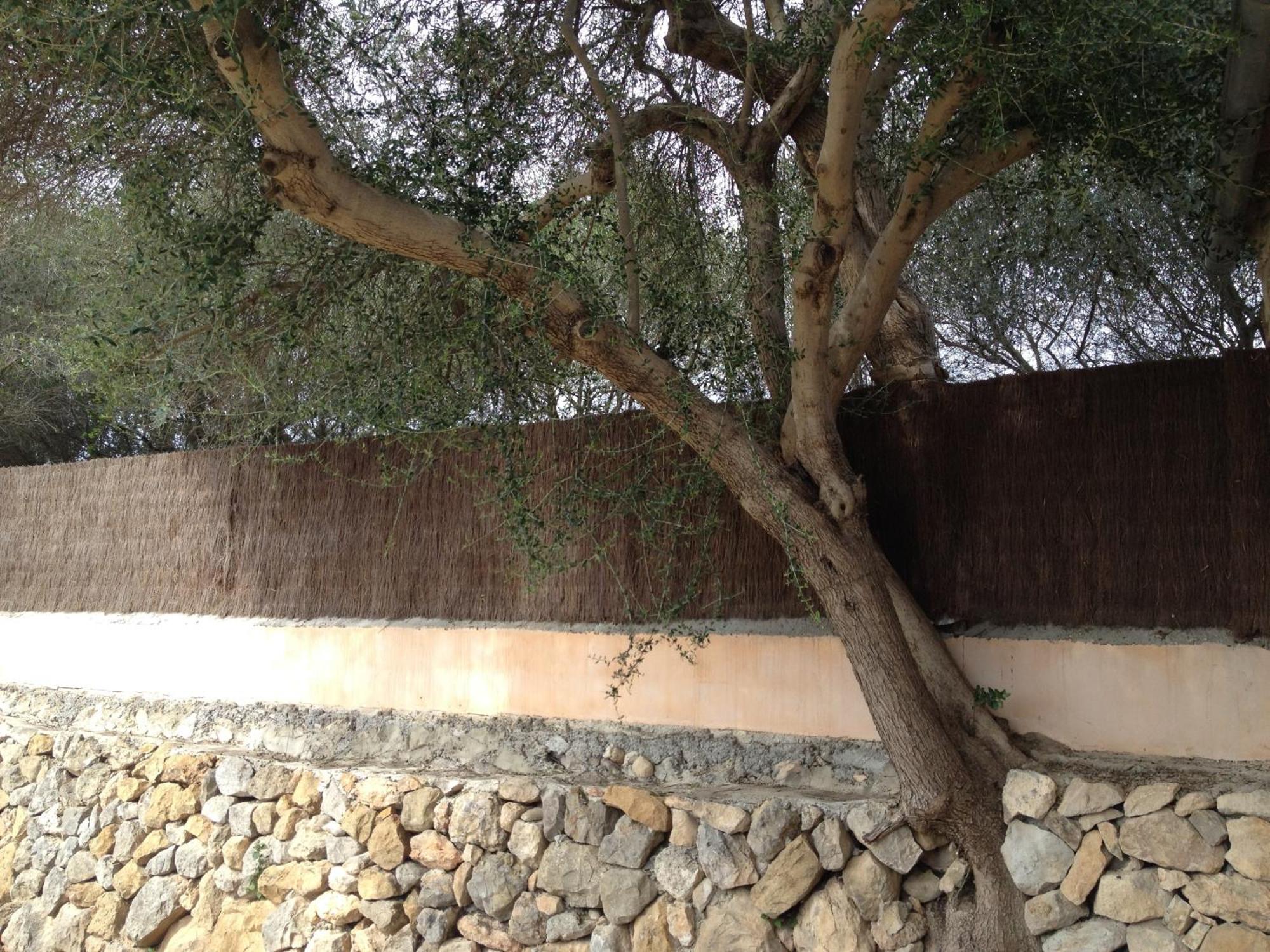Agroturismo Finca Dalt Murada Binissalem Esterno foto