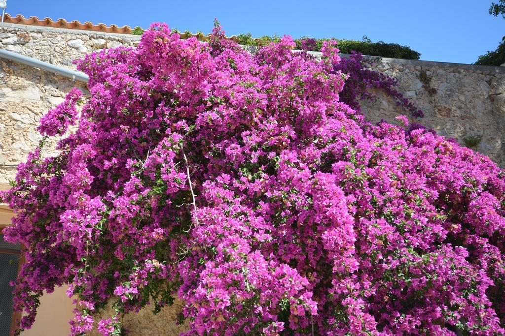 Agroturismo Finca Dalt Murada Binissalem Esterno foto