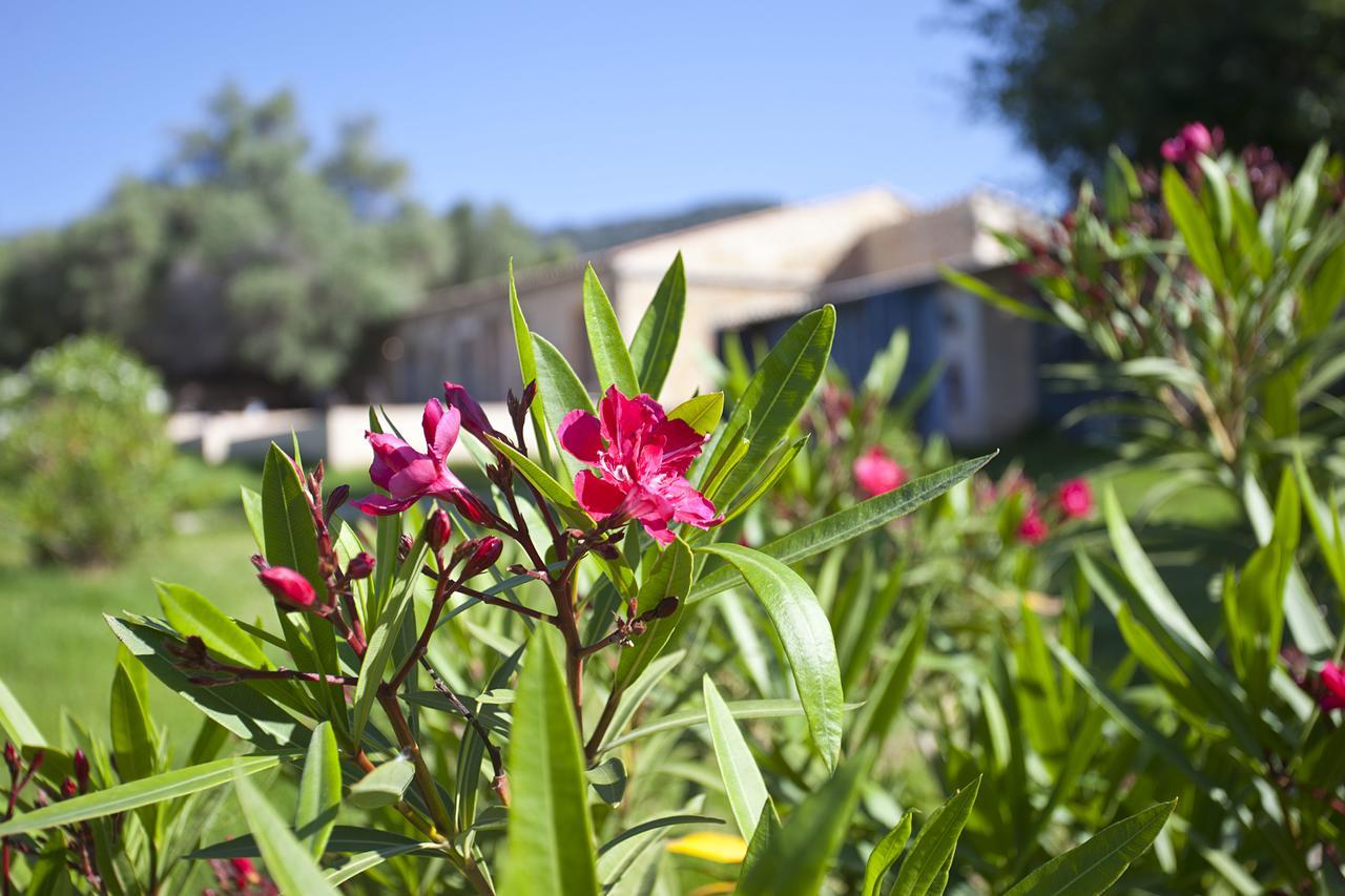 Agroturismo Finca Dalt Murada Binissalem Esterno foto